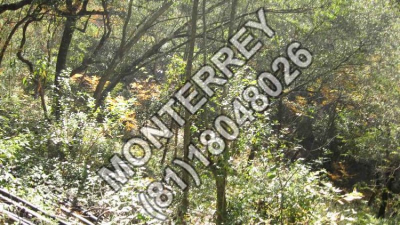Foto Terreno en Venta en EL CERCADO SANTIAGO NUEVO LEÓN, Santiago, Nuevo Leon - $ 12.000.000 - TEV82942 - BienesOnLine