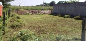Terreno en Venta en EMILIANO ZAPATA MEDELLIN DE BRAVO, Veracruz