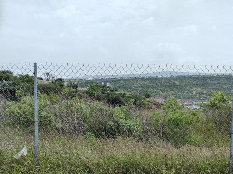 Foto Terreno en Venta en Milenio, Santiago de Querétaro, Queretaro Arteaga - $ 10.500.000 - TEV323762 - BienesOnLine