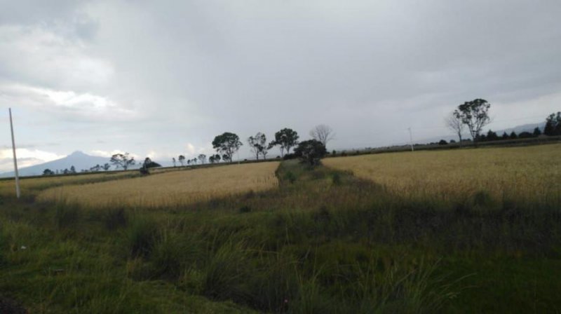 Foto Terreno en Venta en Chipila Xaltocan, Muñoz, Tlaxcala - $ 100 - TEV262418 - BienesOnLine