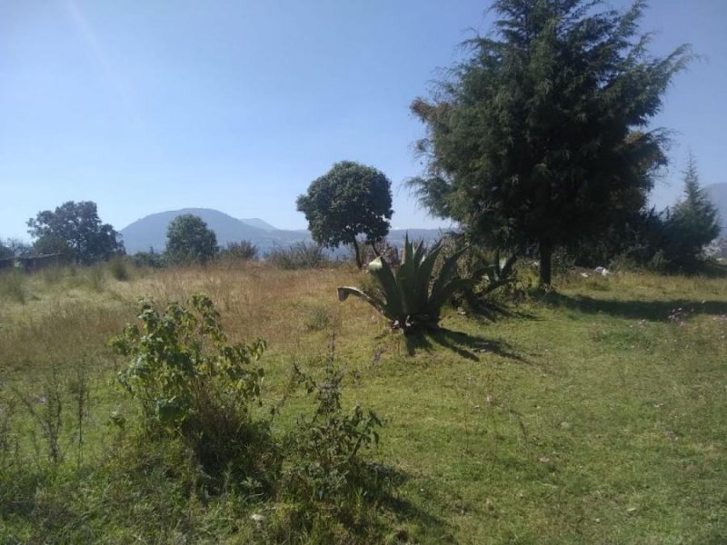 Terreno en Venta en  Chalco de Díaz Covarrubias, Mexico