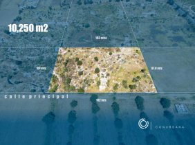 Terreno en Venta en  Texcoco de Mora, Mexico