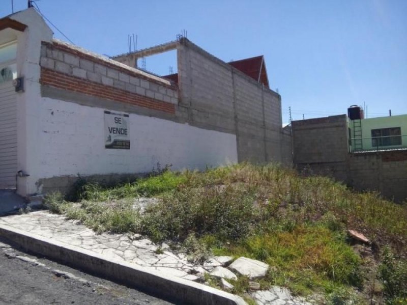 Terreno en Venta en Tres valles Tres Valles, Veracruz