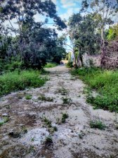 Terreno en Venta en Alamos Cancún, Quintana Roo