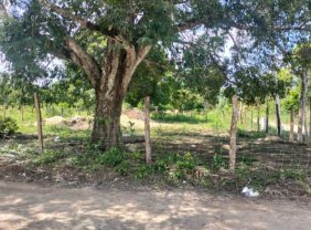 Terreno en Venta en col tres poderes Escárcega, Campeche