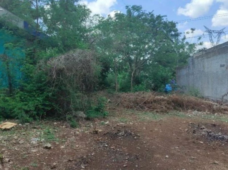 Foto Terreno en Venta en VILLAS DEL ORIENTE, Kanasín, Yucatan - $ 242.000 - TEV295675 - BienesOnLine