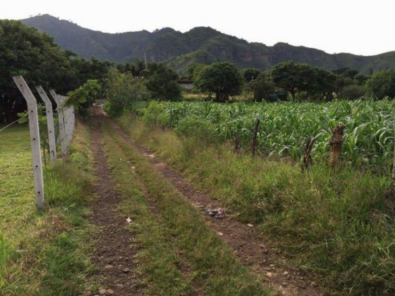 Foto Terreno en Venta en SANTA MARIA, Malinalco, Mexico - $ 2.400.000 - TEV146024 - BienesOnLine