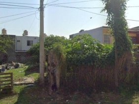 Terreno en Venta en col. el vergel Tlaquepaque, Jalisco