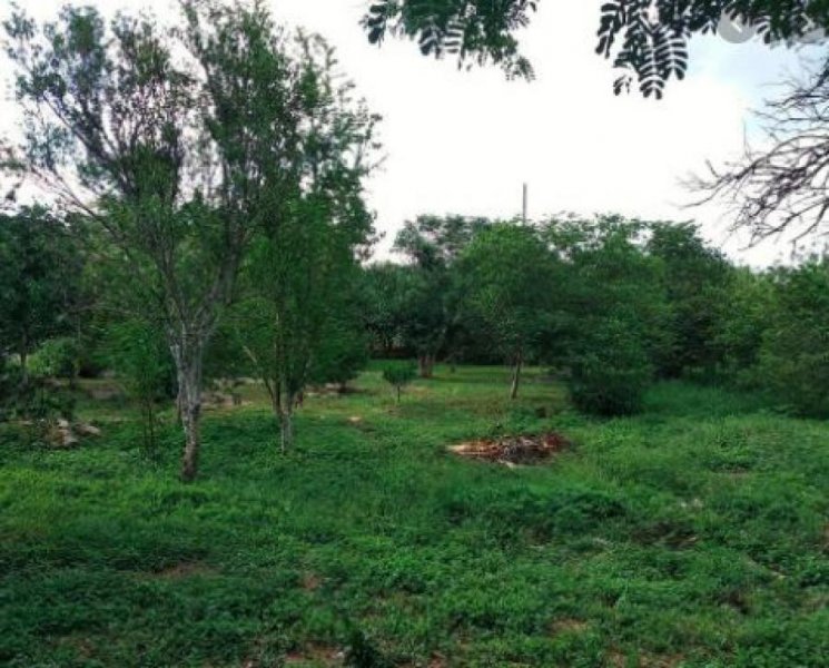 Foto Terreno en Venta en FRANCISCO VILLA ORIENTE, Kanasín, Yucatan - $ 105.000 - TEV296886 - BienesOnLine