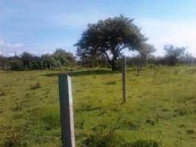 Terreno en Venta en CHAMIZAL Santa María Coronango, Puebla