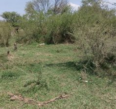 Terreno en Venta en  Pátzcuaro, Michoacan de Ocampo