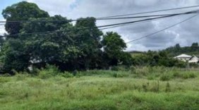 Terreno en Venta en LAS PALMAS Río Blanco, Veracruz