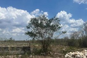 Terreno en Venta en SAN MARCOS NOCOH Mérida, Yucatan