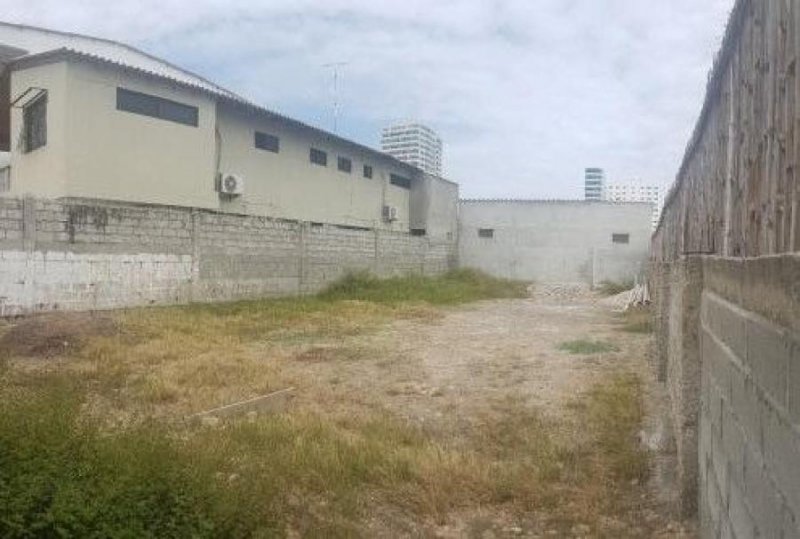 TERRENO EN VENTA EN TRES VALLES,VERACRUZ