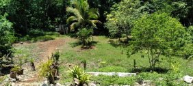 TERRENO EN VENTA. FELIPE CARRILLO PUERTO, QUINTANA ROO