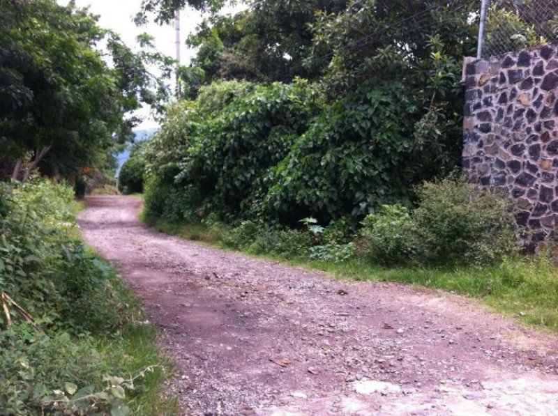 Foto Terreno en Venta en CAMINO VIEJO A JALMOLONGA, Malinalco, Mexico - $ 1.354.000 - TEV146007 - BienesOnLine