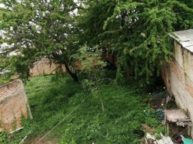 Terreno en Venta en SAN JOSE DEL QUINCE El Salto, Jalisco