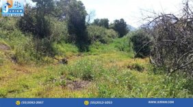 Foto Terreno en Venta en LA RUMOROSA, Tlalmanalco de Velázquez, Mexico - $ 350.000 - TEV358169 - BienesOnLine