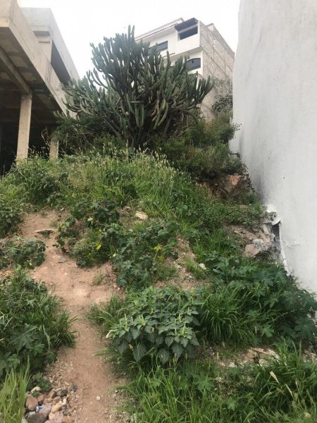 Foto Terreno en Venta en MILENIO, Santiago de Querétaro, Queretaro Arteaga - $ 5.000 - TEV261537 - BienesOnLine