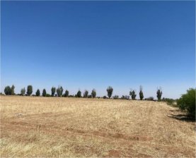 Terreno en Venta en  Vetagrande, Zacatecas