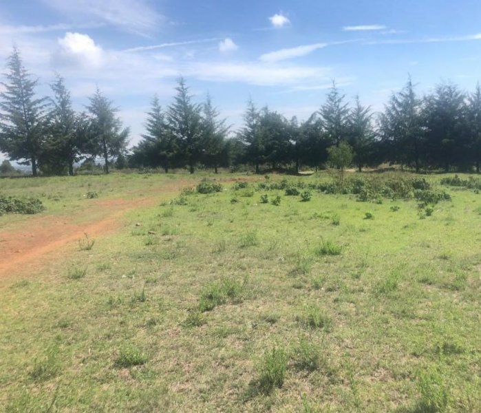 Foto Terreno en Venta en SAN JOSE ITHO, AMEALCO., San José Ithó, Queretaro Arteaga - $ 1.880.400 - TEV261735 - BienesOnLine