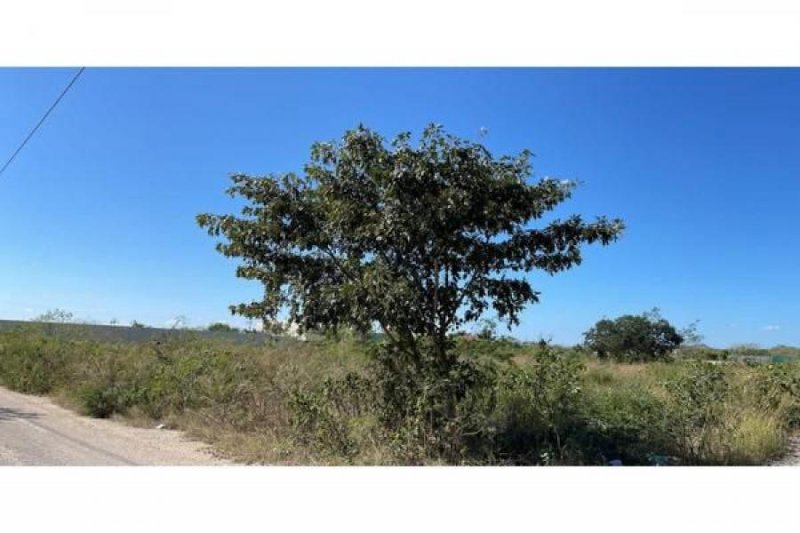 Foto Terreno en Venta en Temozón norte, Mérida, Yucatan - $ 2.100.000 - TEV326951 - BienesOnLine