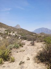 Terreno en Venta en Rayones NL Montemorelos, Nuevo Leon