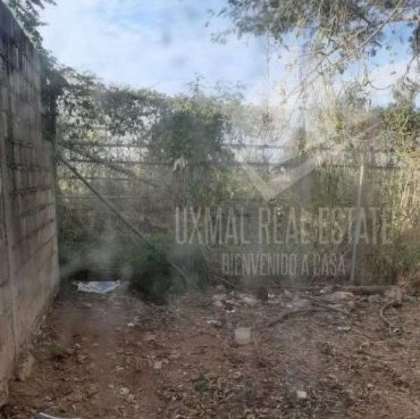 Foto Casa en Venta en VILLA MAGNA, Mérida, Yucatan - $ 377.500 - CAV278297 - BienesOnLine