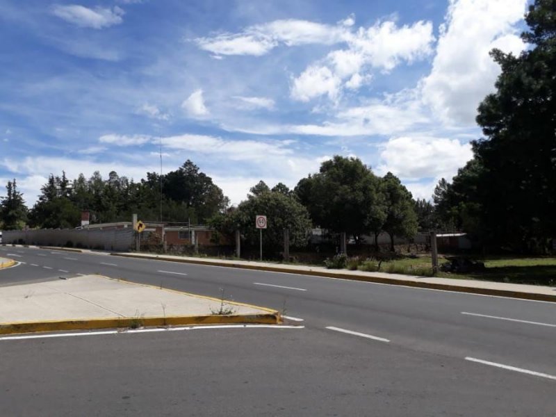 Terreno en Venta en  Apizaco, Tlaxcala