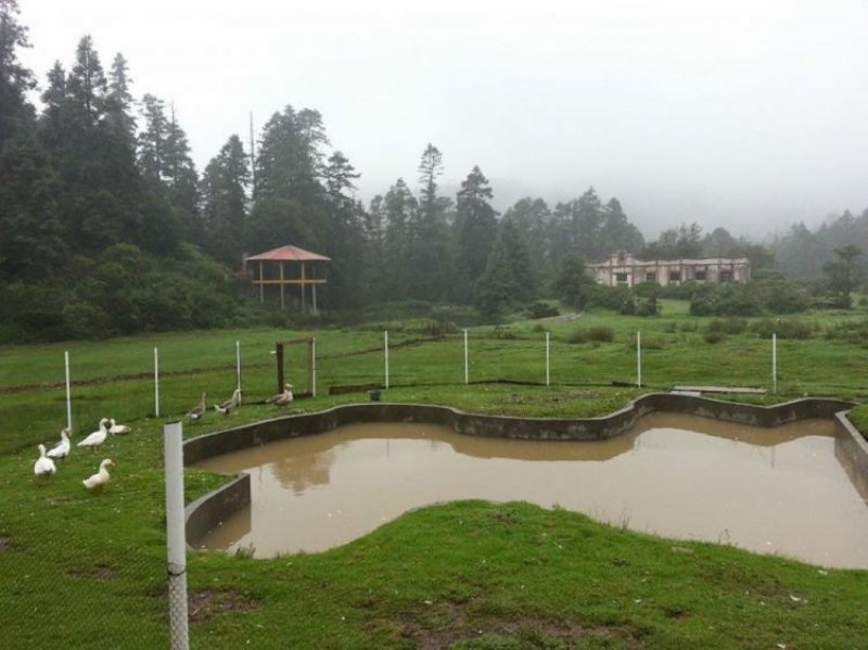 Terreno en Venta en Casas Quemadas Mineral del Monte, Hidalgo