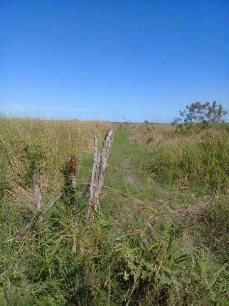 Terreno en Venta en  Champotón, Campeche