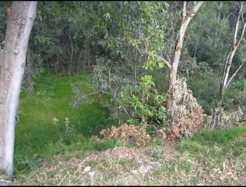Foto Terreno en Venta en Real de Valle Escondido, Atizapán de Zaragoza, Mexico - $ 16.000.000 - TEV266007 - BienesOnLine