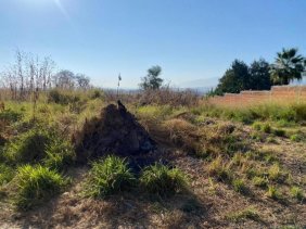 Terreno en Venta en AGAVE COLIMAN Tlajomulco de Zúñiga, Jalisco