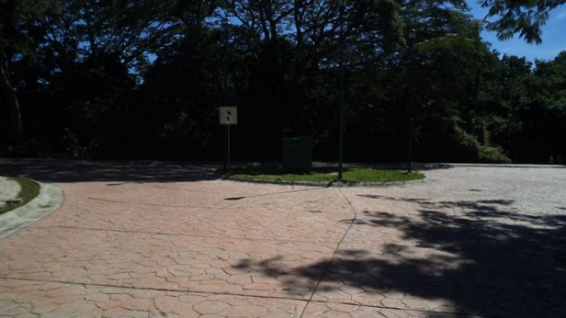 Foto Terreno en Venta en Ixtapa Zihuatanejo, Guerrero - $ 769.000 - TEV70301 - BienesOnLine
