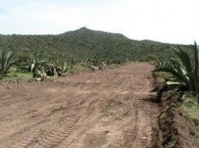 Foto Terreno en Venta en San Agustín Tlaxiaca, Hidalgo - $ 41.000 - TEV51013 - BienesOnLine