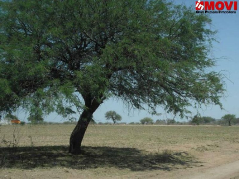 Foto Terreno en Venta en Santiago de Querétaro, Queretaro Arteaga - 300 hectareas - $ 360.000.000 - TEV60510 - BienesOnLine