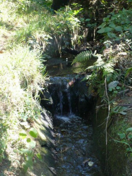 Foto Terreno en Venta en Valle de Bravo, Mexico - $ 1.155.000 - TEV62671 - BienesOnLine