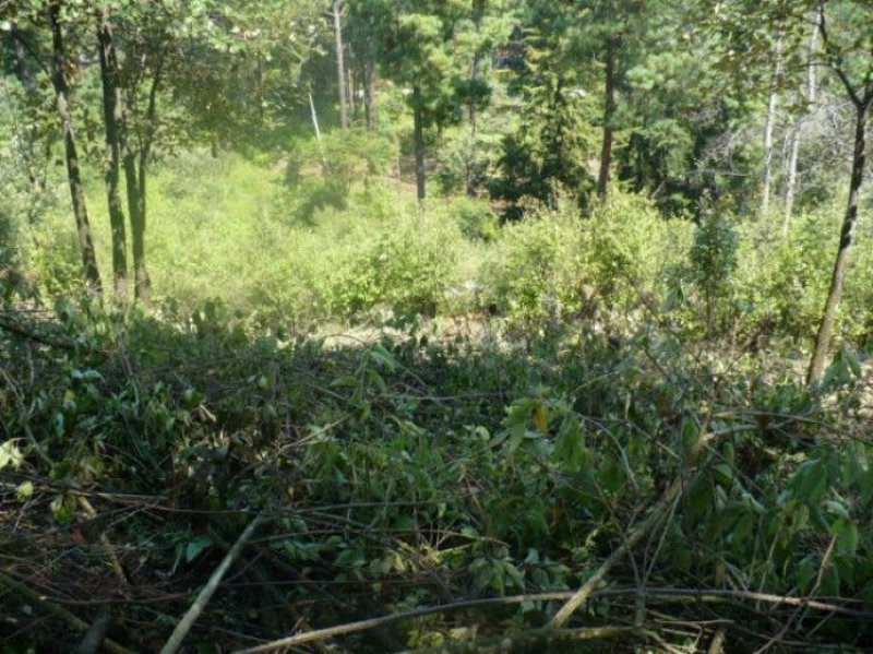 Foto Terreno en Venta en Valle de Bravo, Mexico - $ 440.000 - TEV62674 - BienesOnLine