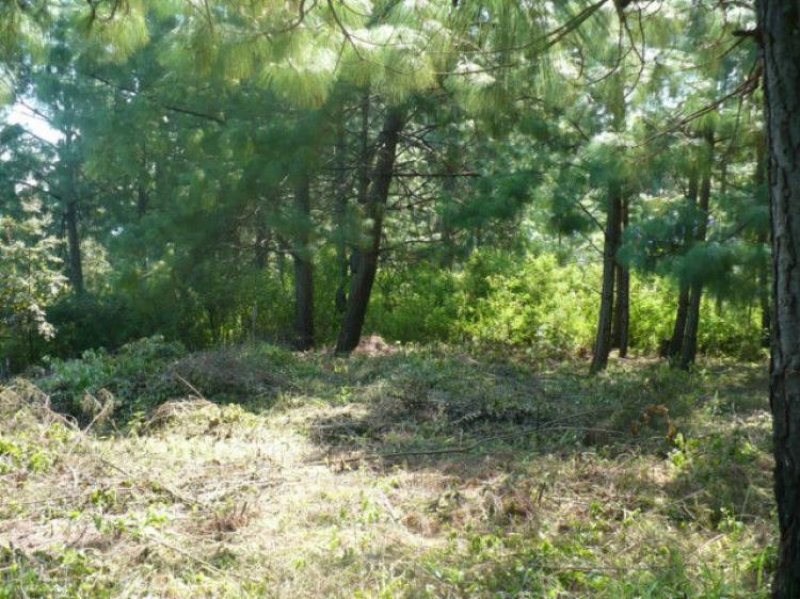 Foto Terreno en Venta en Valle de Bravo, Mexico - $ 55.000.000 - TEV62675 - BienesOnLine