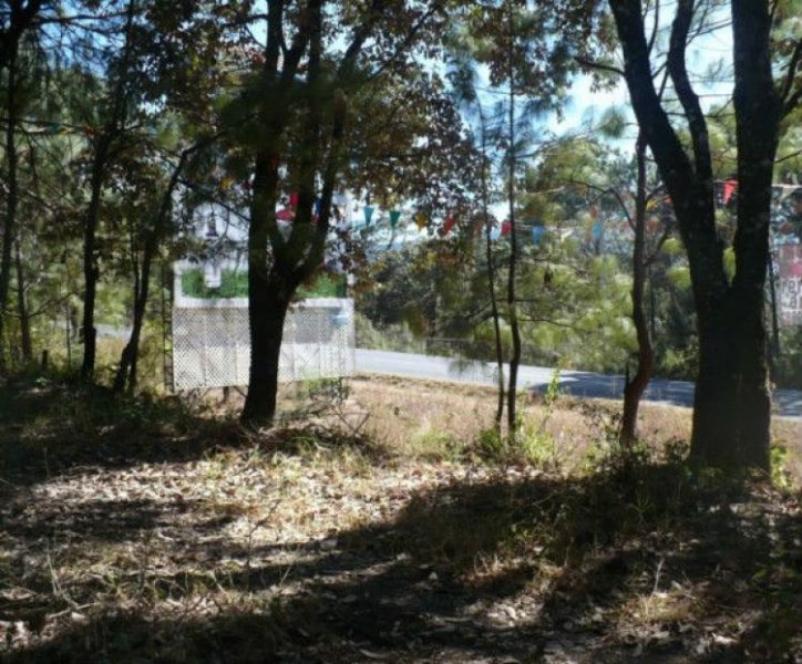 Foto Terreno en Venta en Valle de Bravo, Mexico - U$D 1.650.000 - TEV63385 - BienesOnLine