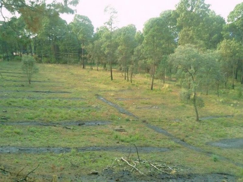 Foto Terreno en Venta en CAM .CERRO GORDO, Valle de Bravo, Mexico - TEV66170 - BienesOnLine