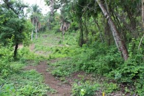 Foto Terreno en Venta en , Jalisco - $ 1.834 - TEV137993 - BienesOnLine