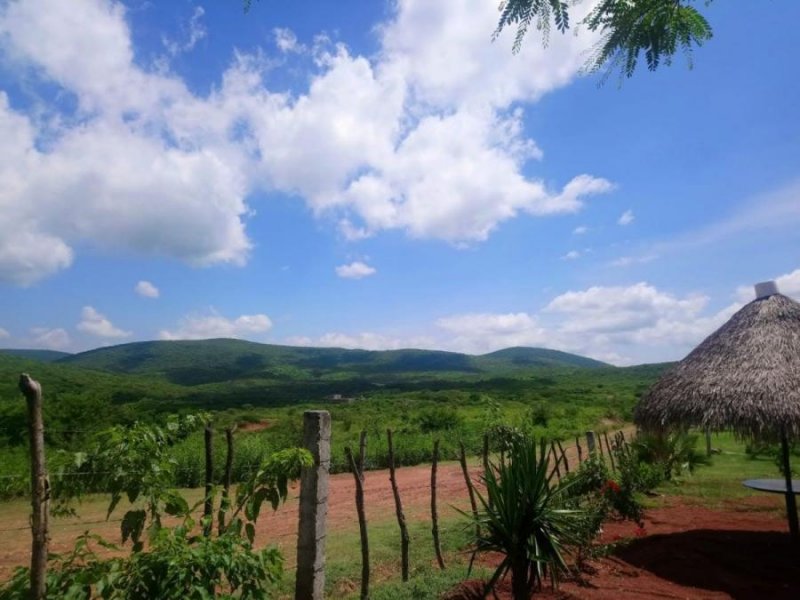 Terreno en Venta en  Tlaltizapán, Morelos