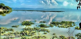 Terreno en Venta en tlachichilco Poncitlán, Jalisco