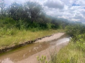 Terreno en Venta en comunidad casas viejas en dolores hidalgo Dolores Hidalgo Cuna de la Independencia Nal., Guanajuato
