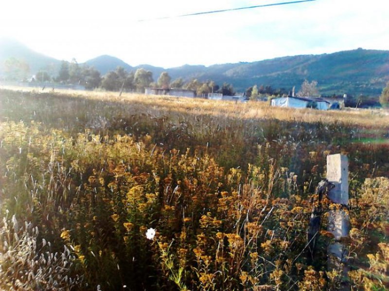 Foto Terreno en Venta en Tenancingo de Degollado, Mexico - $ 900 - TEV87138 - BienesOnLine