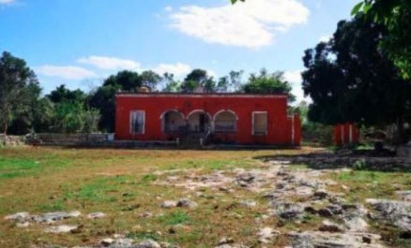 Casa en Venta en  Cuzamá, Yucatan