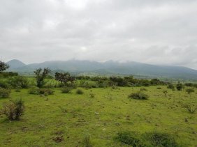 Terreno en Venta en comunidad biznaga San Miguel de Allende, Guanajuato