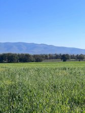 VENDO TERRENO CAMPESTRE EN COMUNIDAD VIVIENDA, CERCA RIO CON SERVICIOS Y VISTAS INCREIBLES EN SAN