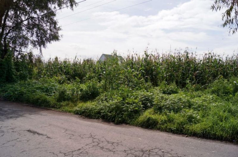 Foto Terreno en Venta en San Mateo Atenco, Mexico - $ 1.300 - TEV84640 - BienesOnLine